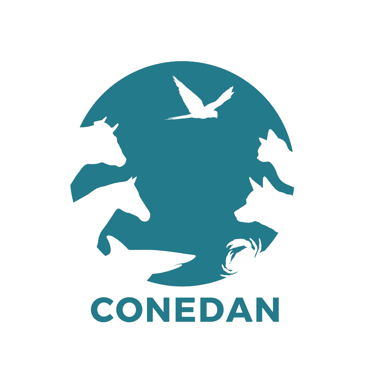 Conedan Conedan