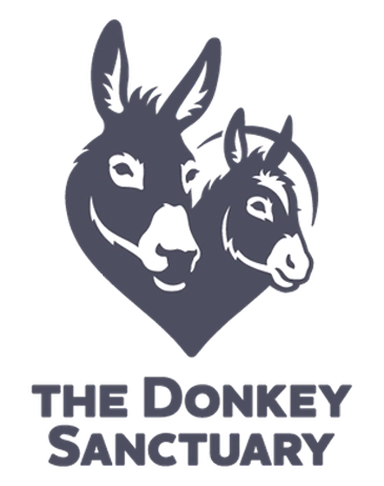 The Donkey Sanctuary The Donkey Sanctuary
